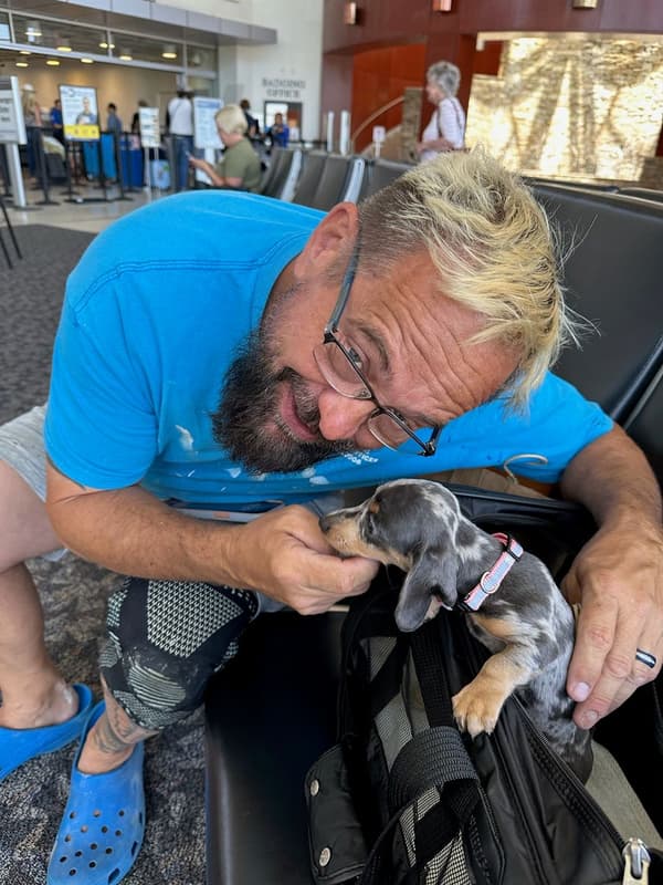 Customer photo of Dachshund, Mini puppy from David W.