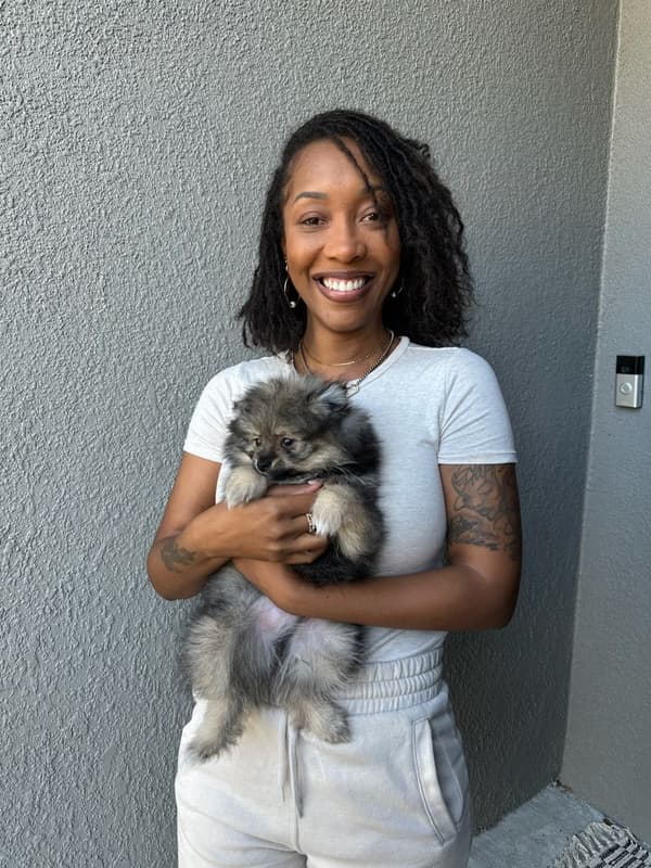 Customer photo of Pomeranian puppy from Yulanda R.