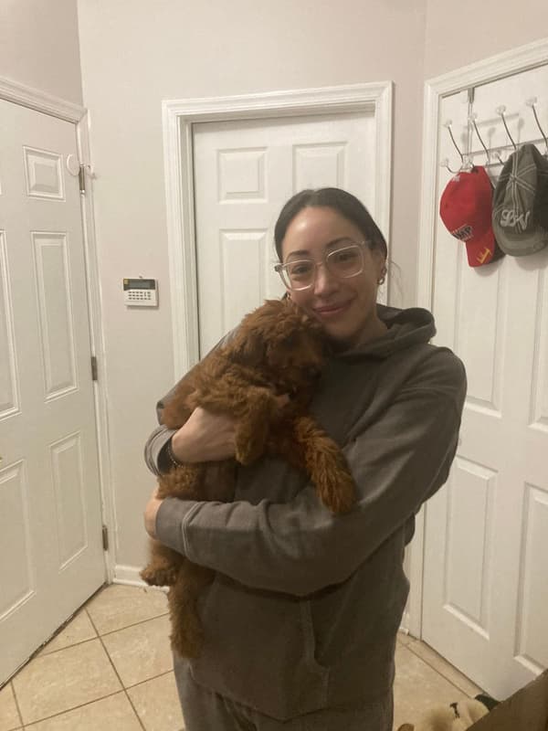 Customer photo of Goldendoodle, Mini puppy from Monica S.