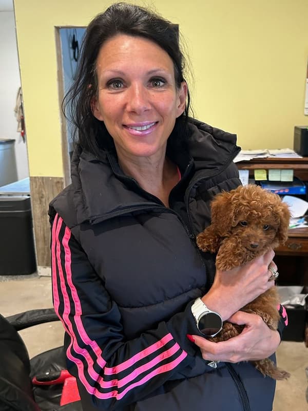 Customer photo of Cavapoo puppy from Melissa M.