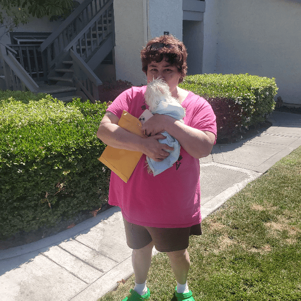 Customer photo of Maltese puppy from Georgina L.