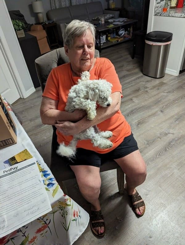 Customer photo of Bichon Frise puppy from Gail S.