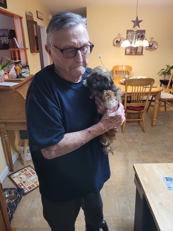 Customer photo of Shih Tzu puppy from Ron C.