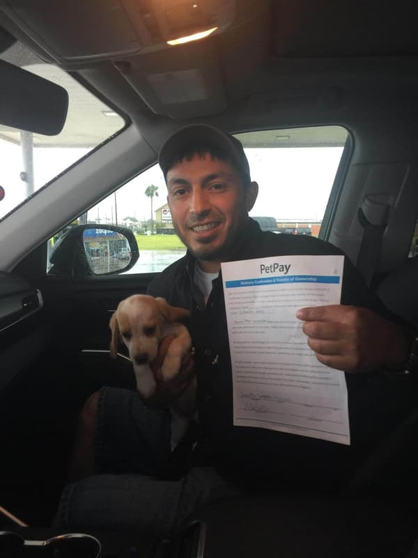 Customer photo of Beagle puppy from Jennifer S.