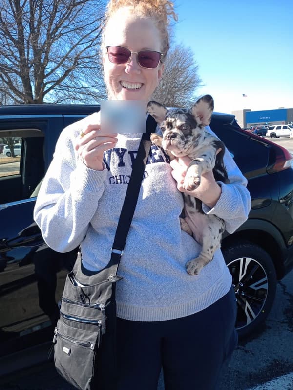 Customer photo of French Bulldog puppy from Teresa F.