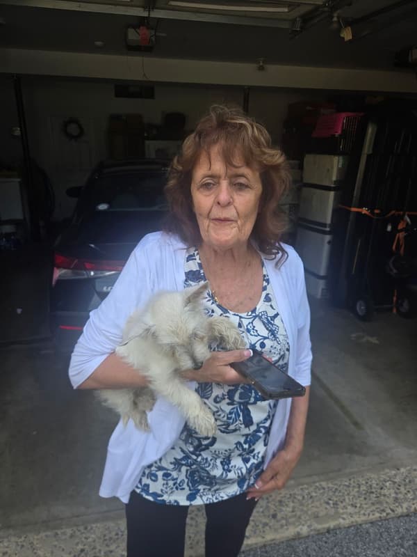 Customer photo of West Highland White Terrier - Westie puppy from Dianne R.