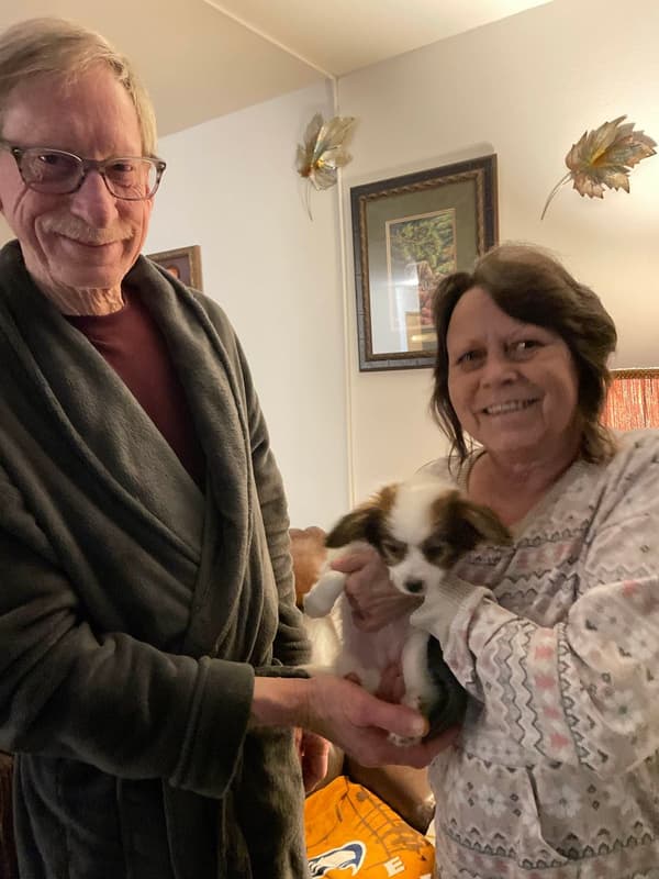 Customer photo of Papillon puppy from Rhonda J.