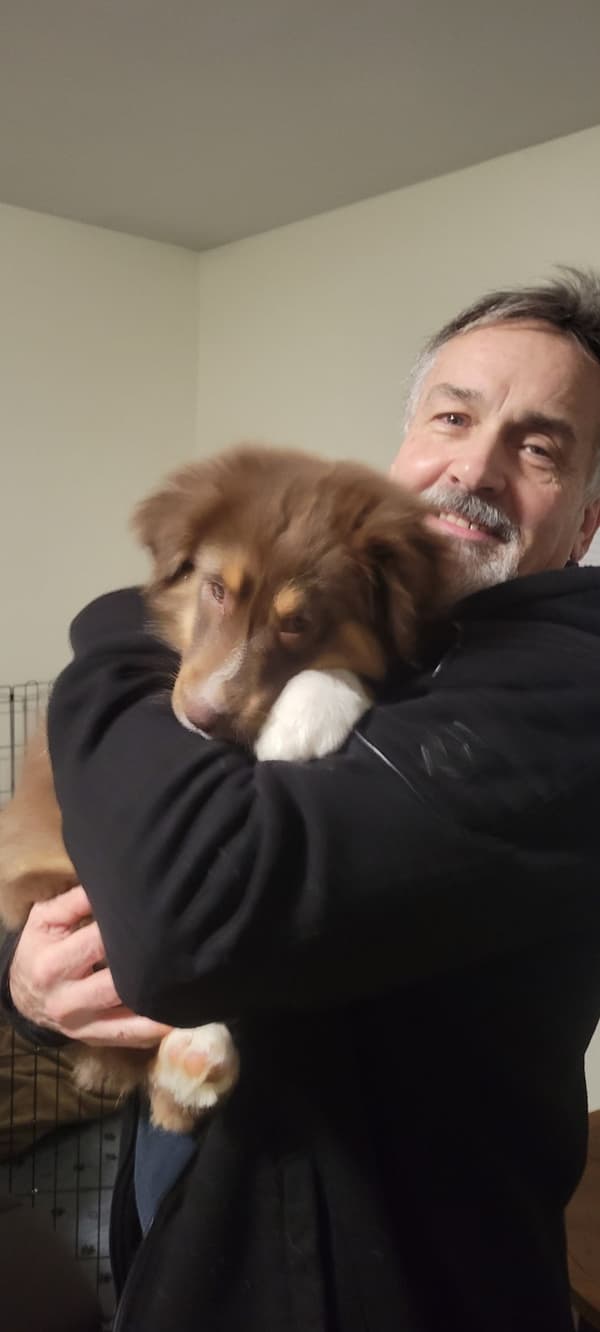 Customer photo of Australian Shepherd puppy from Paul H. 