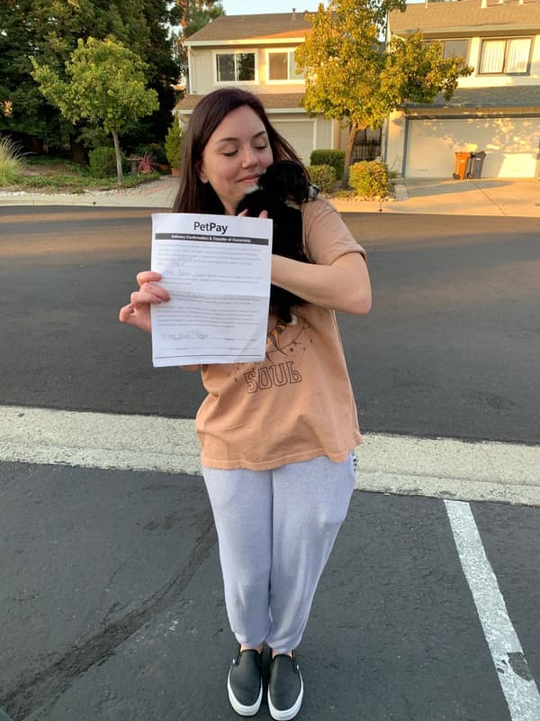 Customer photo of Miniature Australian Shepherd puppy from Kristen Q.