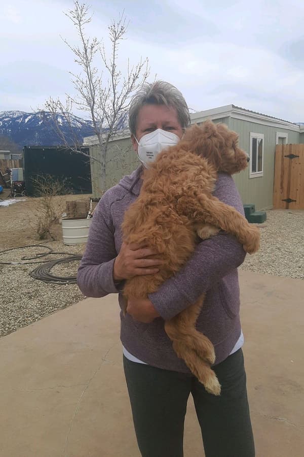 Customer photo of Irishdoodle puppy from Terry S.