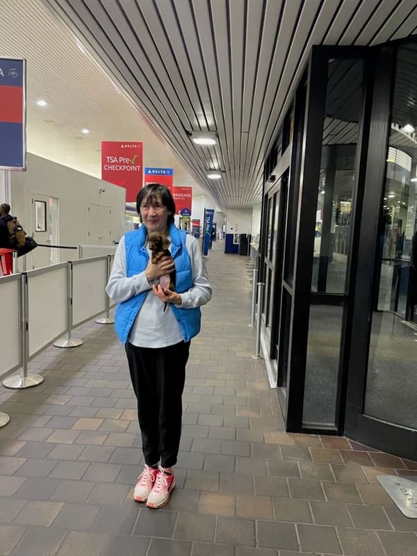 Customer photo of Dachshund, Mini puppy from Julia B.