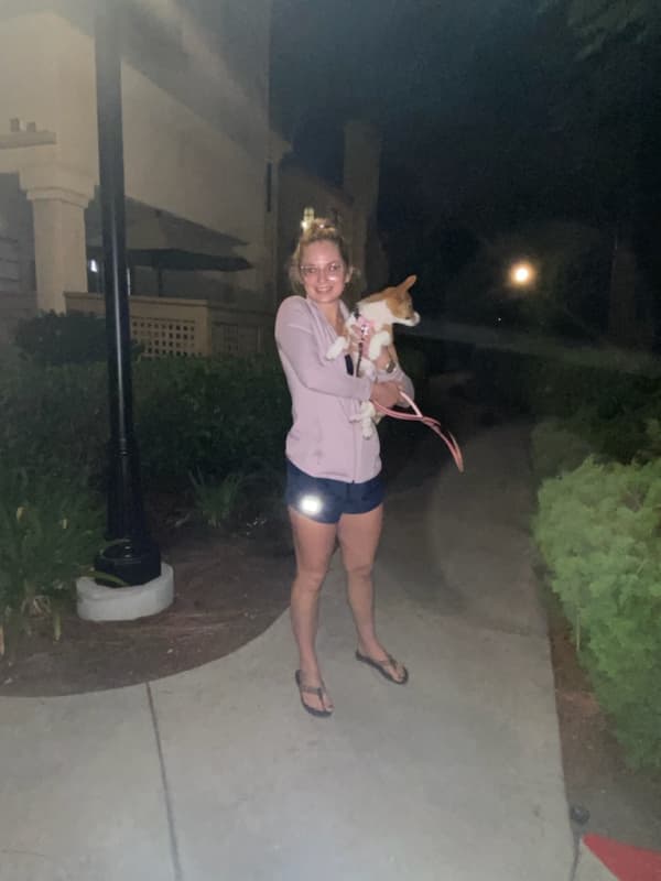 Customer photo of Corgi, Pembroke Welsh puppy from Karleigh R.