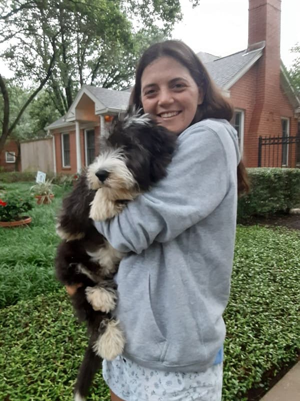 Customer photo of Sheepadoodle puppy from Kendall B.