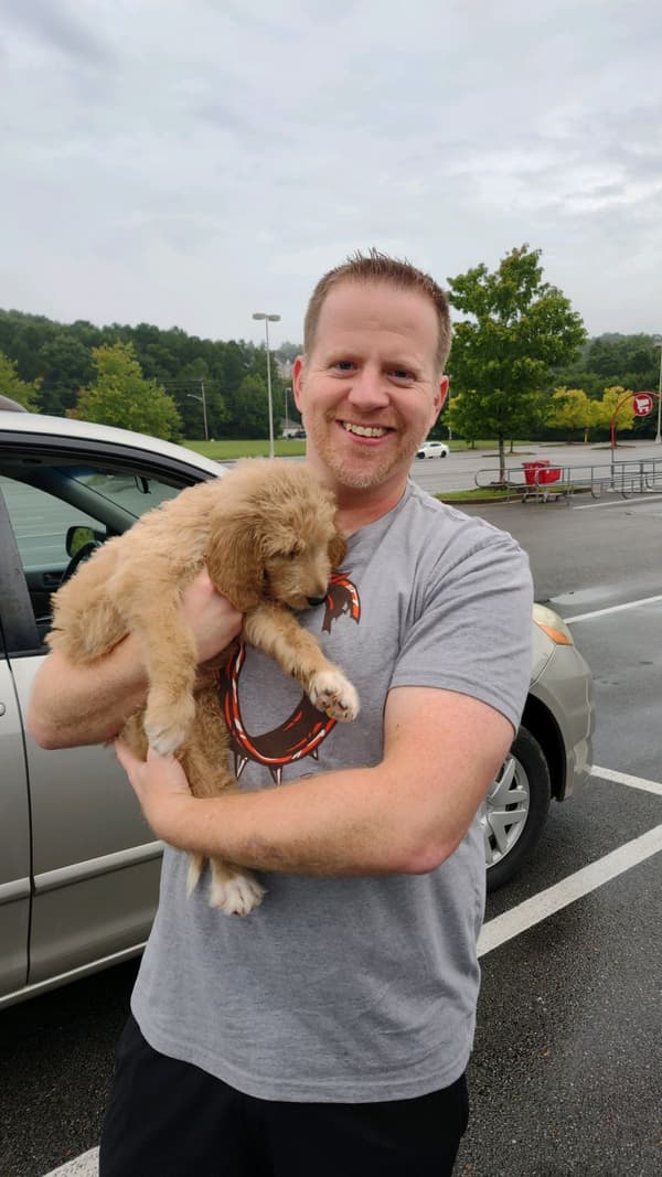 Customer photo of Irish Wolfadoodle puppy from Jay O.