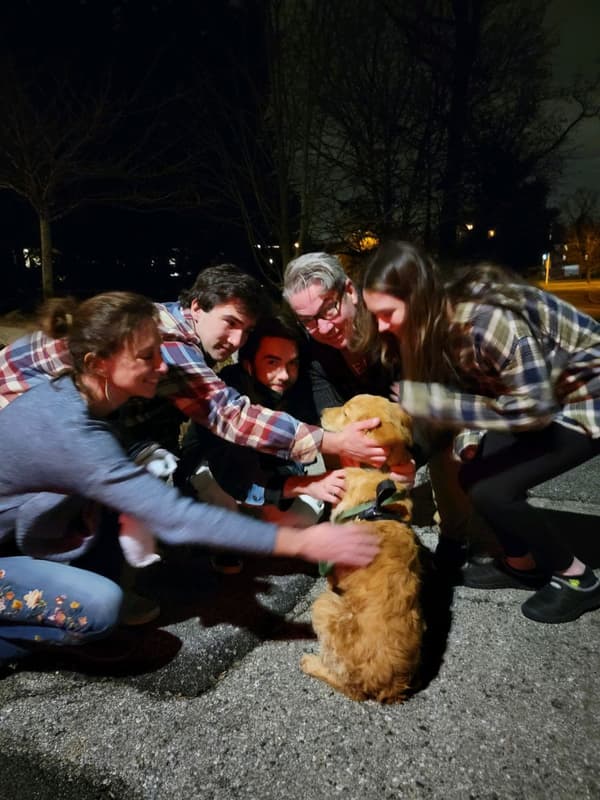 Customer photo of Golden Retriever puppy from Bridget M.