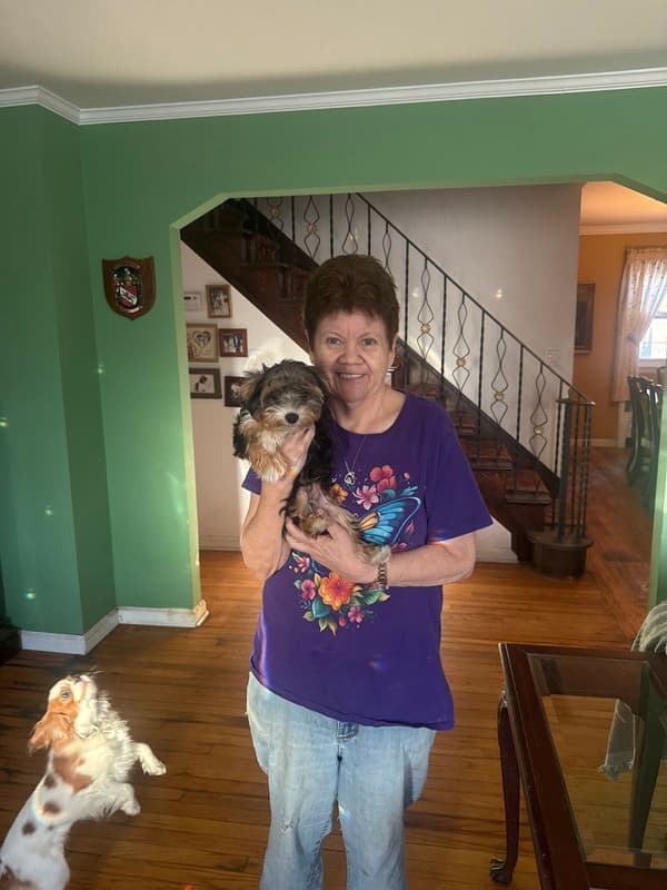Customer photo of Yorkshire Terrier - Yorkie puppy from Donna D.