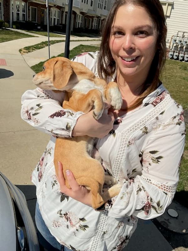 Customer photo of Puggle puppy from Angela R.