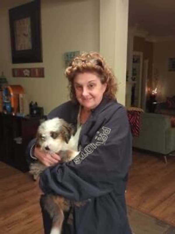 Customer photo of Bernedoodle, Mini puppy from Gaytana M.