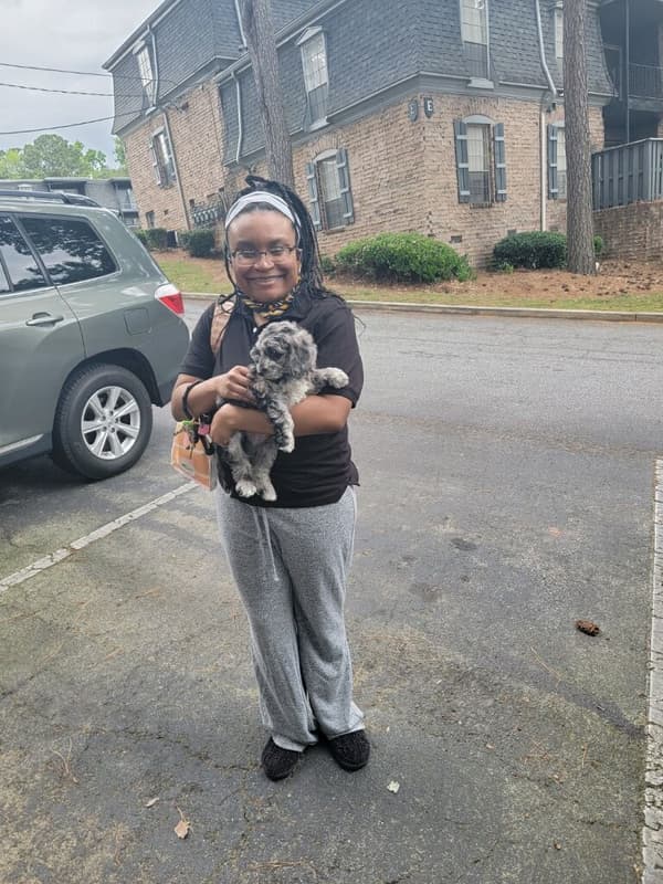 Customer photo of Cockapoo puppy from Alechia H.