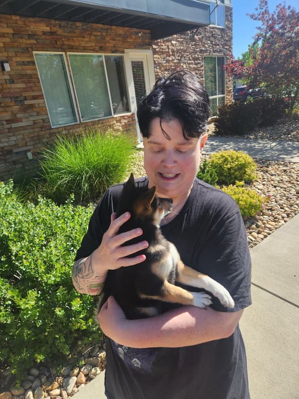 Customer photo of Shiba Inu puppy from Tiffany O.