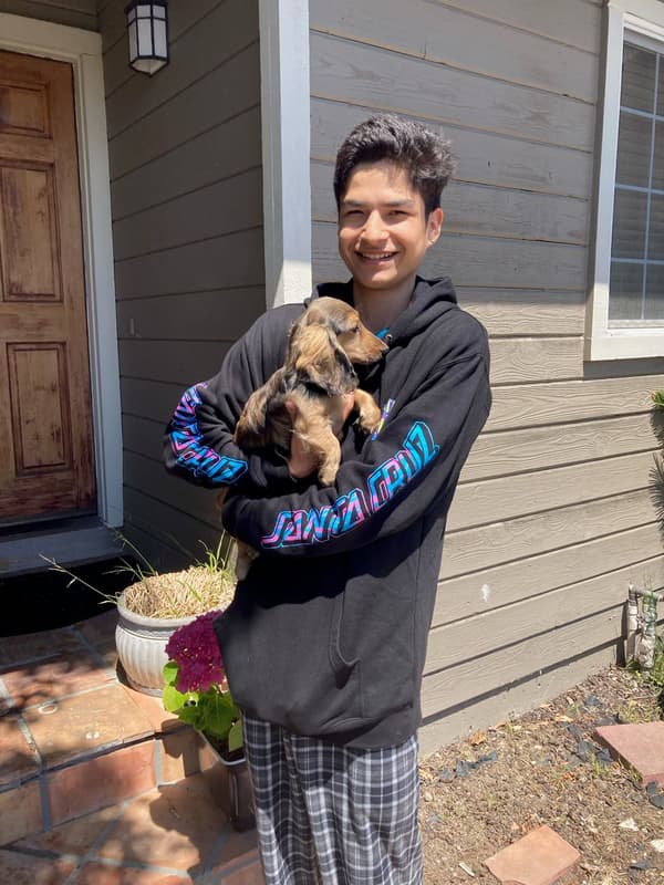 Customer photo of Dachshund, Mini puppy from Daniel P.