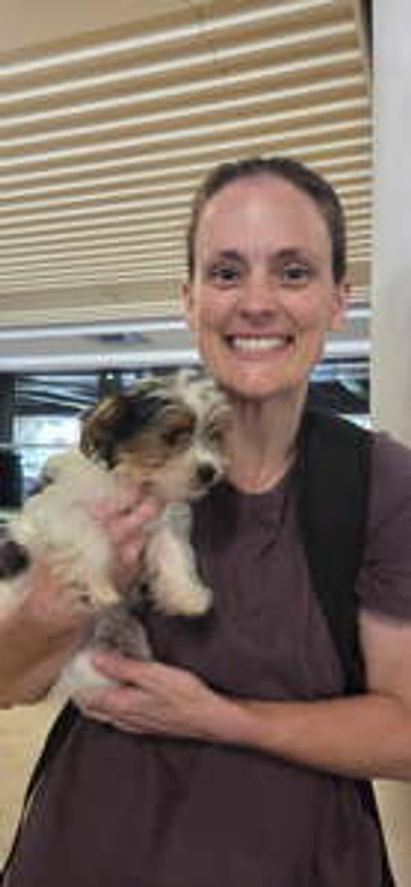 Customer photo of Shorkie puppy from Samantha N.