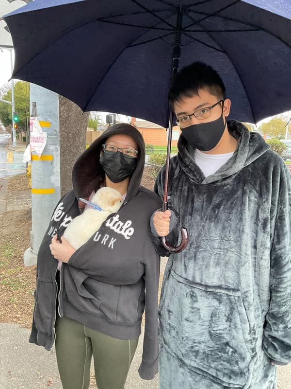 Customer photo of Shiba Inu puppy from Yuuki S.