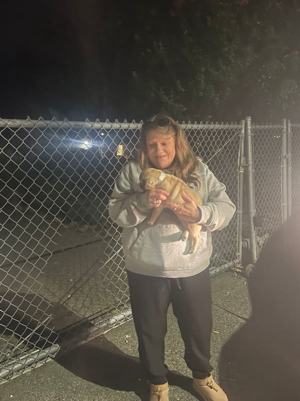 Customer photo of Pug puppy from Holly L.