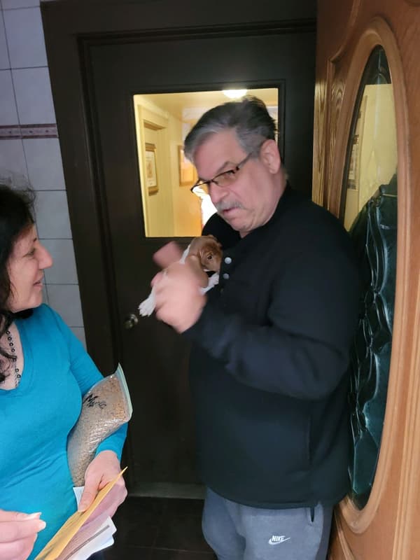 Customer photo of Dachshund, Mini puppy from Anthony D.