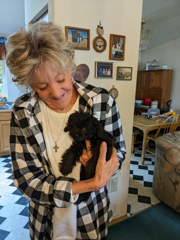 Customer photo of Peekapoo puppy from Carmen R.