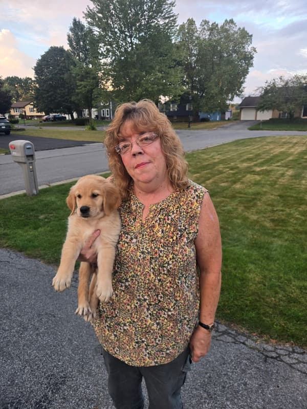 Customer photo of Golden Retriever puppy from Kathleen S.