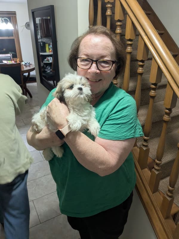 Customer photo of Shih Tzu puppy from Linda A.