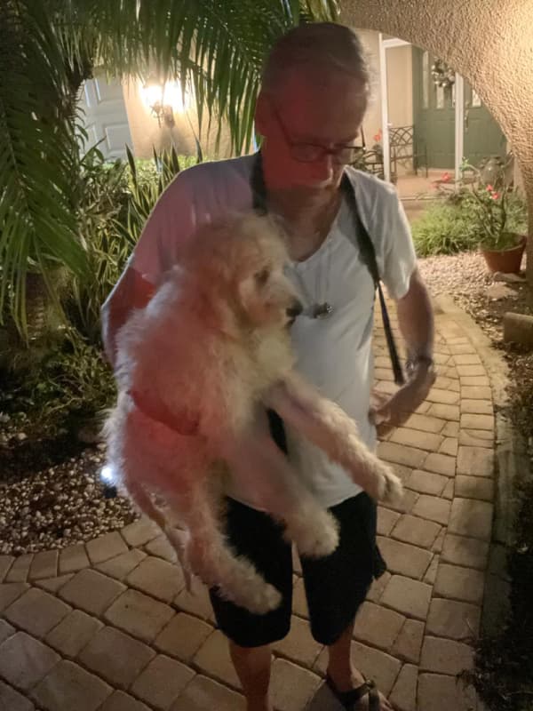 Customer photo of Goldendoodle puppy from Lawrence P.