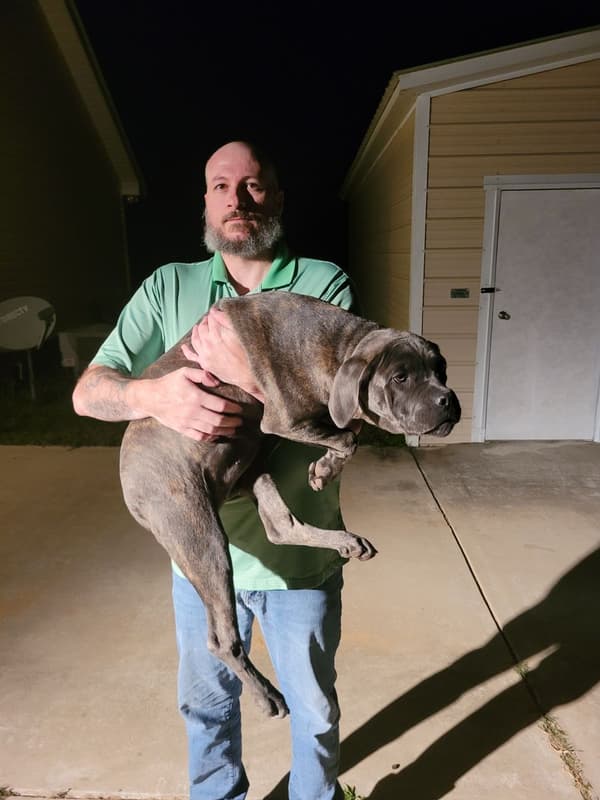 Customer photo of Cane Corso Mastiff puppy from Cory M.