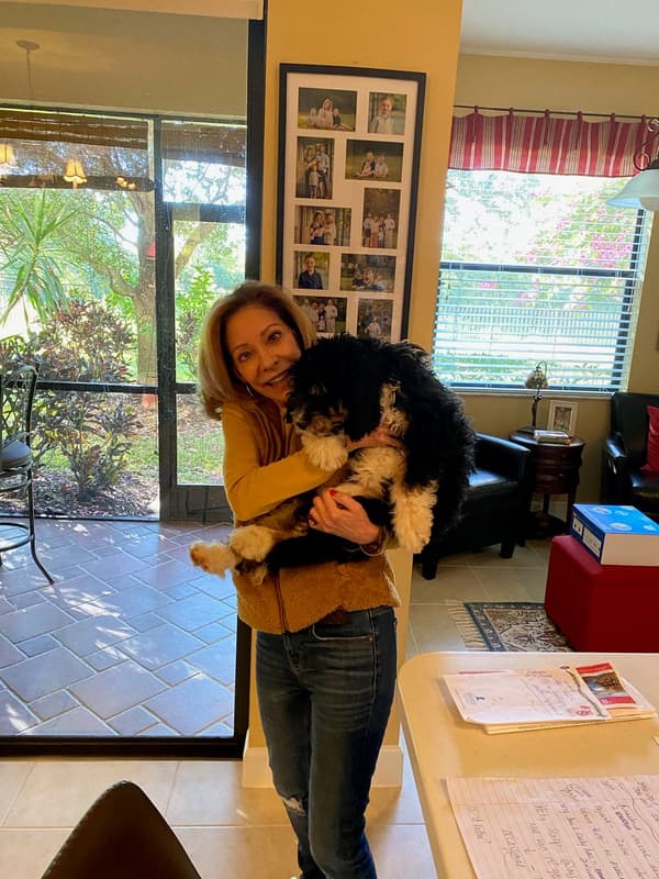 Customer photo of Bernedoodle, Mini puppy from Linda D.