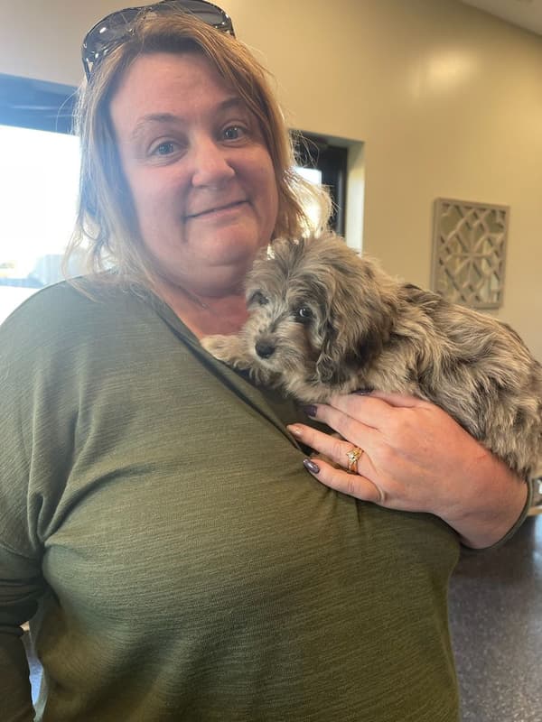 Customer photo of Goldendoodle, Mini puppy from Christina C.