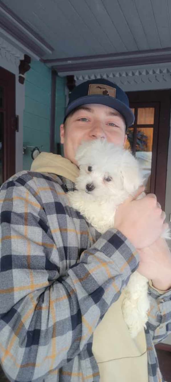 Customer photo of Maltese puppy from Rachael M.