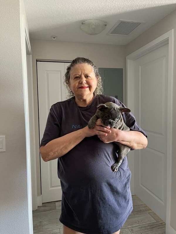 Customer photo of French Bulldog puppy from Janet C. 