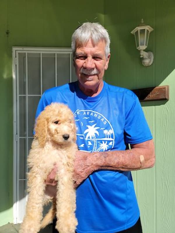 Customer photo of Labradoodle puppy from Christella B.