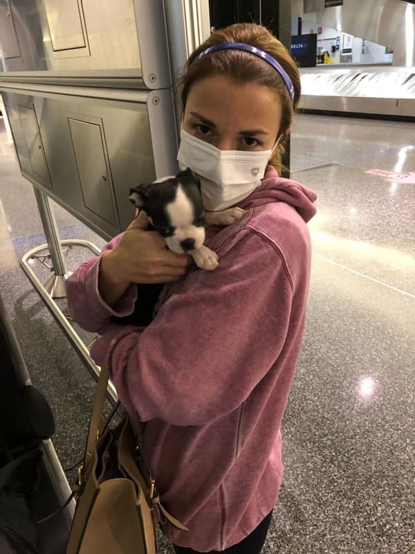 Customer photo of Boston Terrier puppy from Shannon M.