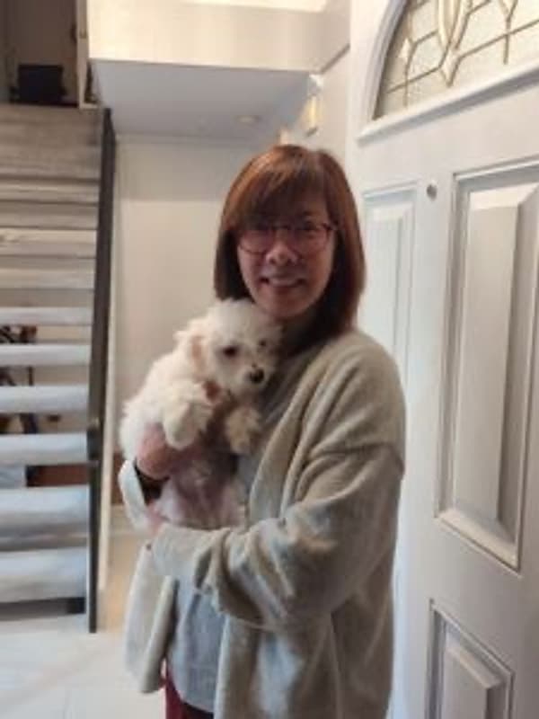 Customer photo of Bichon Frise puppy from Hisayo P. 