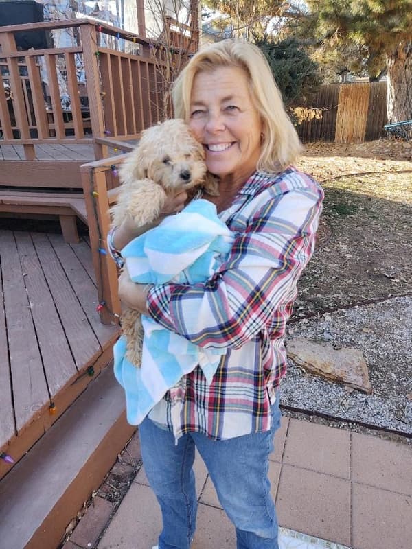 Customer photo of Poodle, Toy puppy from Pam H.