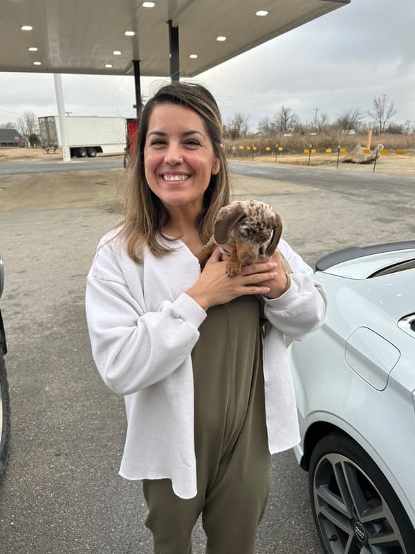 Customer photo of Dachshund, Tweenie puppy from Steven P.