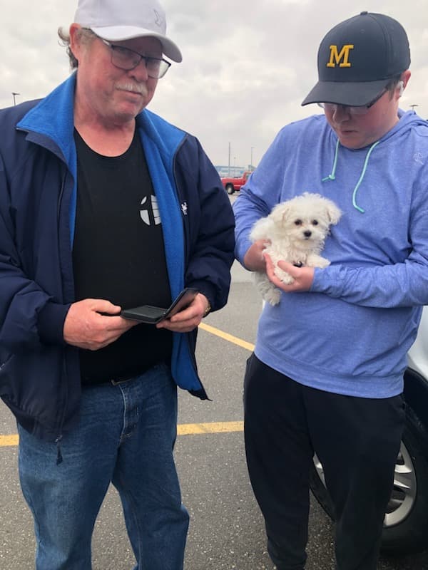 Customer photo of Maltese puppy from Glenn M.