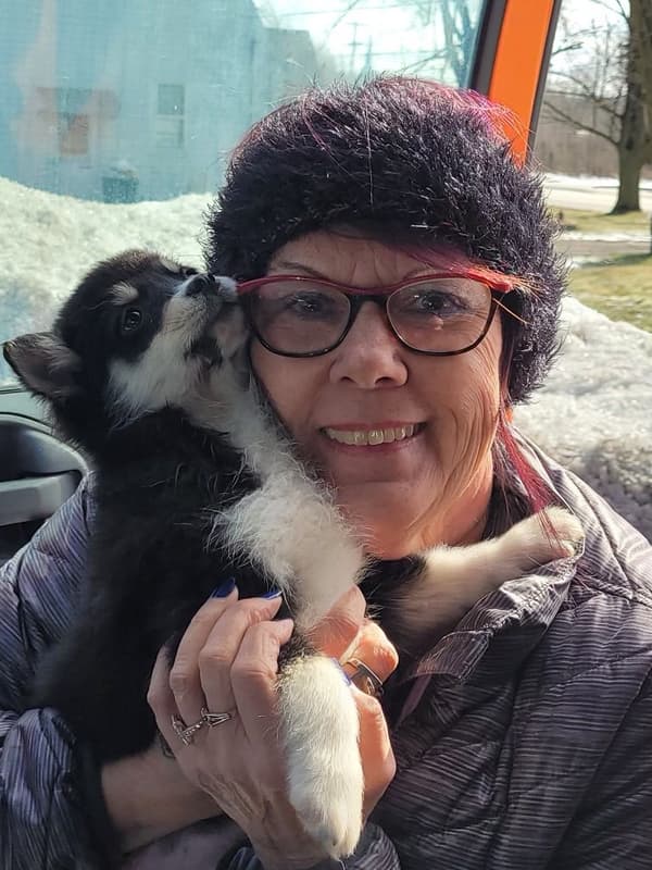 Customer photo of Pomsky puppy from Donna K.