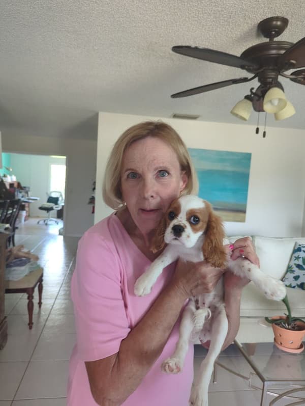Customer photo of Cavalier King Charles Spaniel puppy from Debra A.