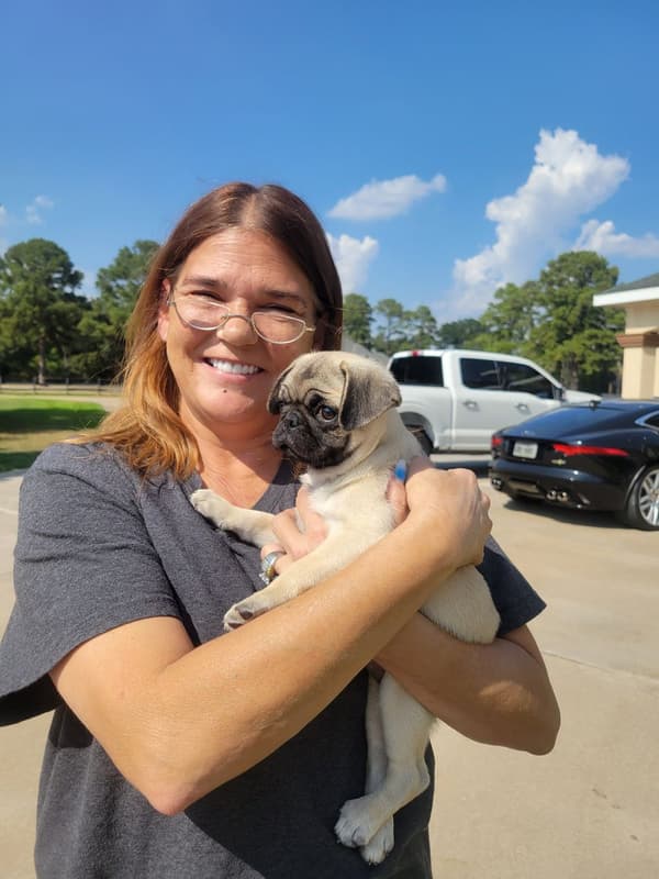Customer photo of Pug puppy from Conley K.
