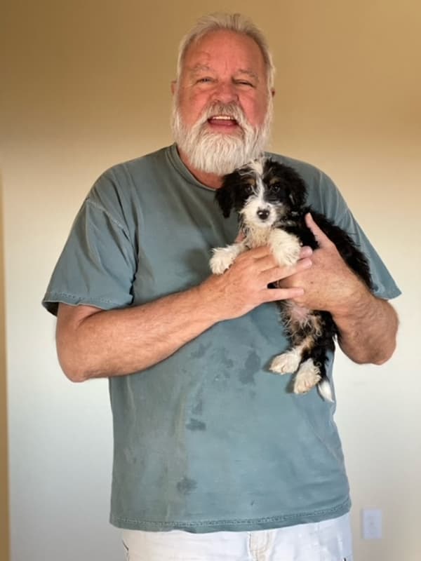 Customer photo of Bernedoodle, Mini puppy from Elaine R.