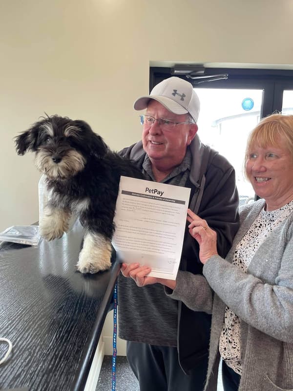 Customer photo of Schnauzer, Miniature puppy from Sheri H.