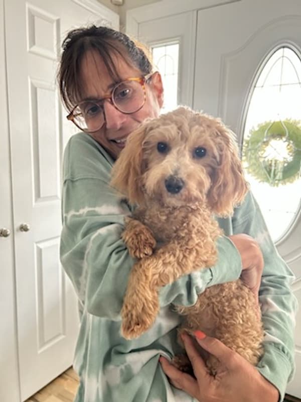 Customer photo of Malti Poo - Maltipoo puppy from Mary L.